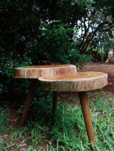 Read more about the article End Table 06